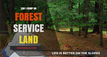 Camping on Forest Service Land: Rules, Tips, and Best Practices