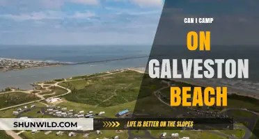 Camping on Galveston Beach: Rules, Tips, and What You Need to Know