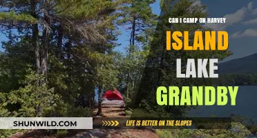 Camping on Harvey Island: Lake Granby's Hidden Gem Explored