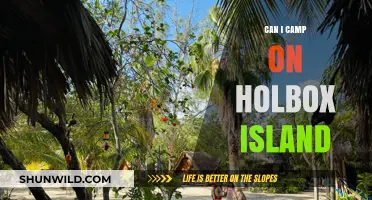 Camping on Holbox Island: Rules, Tips, and What You Need to Know
