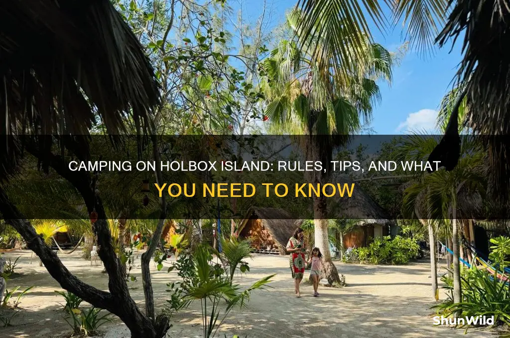can i camp on holbox island