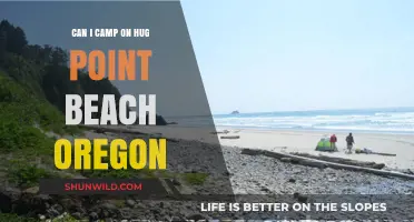 Camping at Hug Point Beach, Oregon: Rules, Tips, and Alternatives