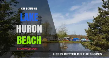 Camping on Lake Huron Beach: Rules, Tips, and Best Spots