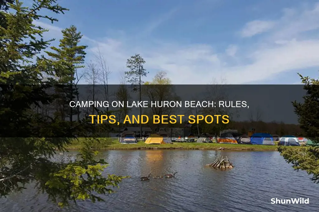 can i camp on lake huron beach