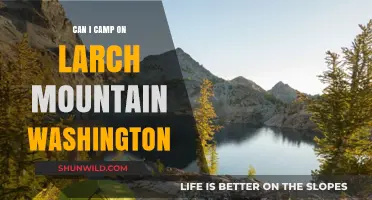 Camping on Larch Mountain, Washington: Rules, Tips, and Best Spots