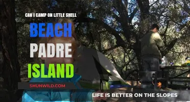 Camping on Little Shell Beach: Padre Island Rules and Tips
