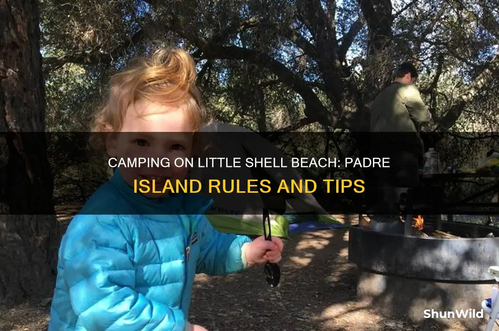 can i camp on little shell beach padre island