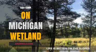Camping on Michigan Wetlands: Rules, Permits, and Eco-Friendly Tips