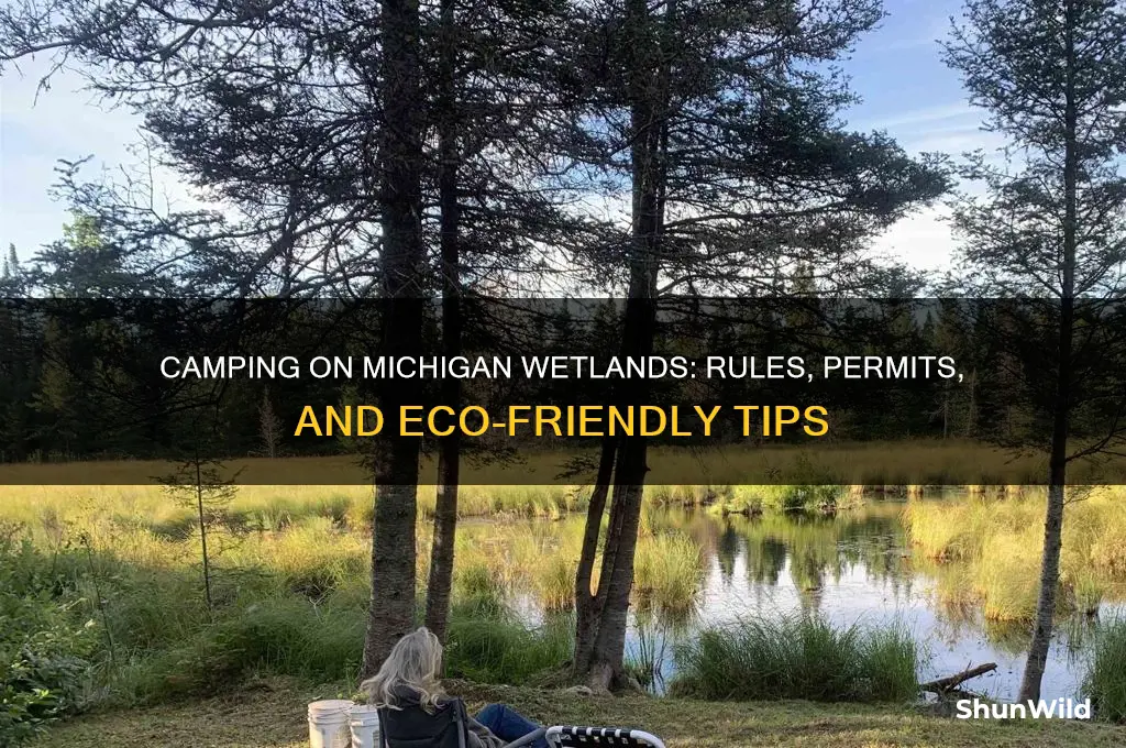 can i camp on michigan wetland