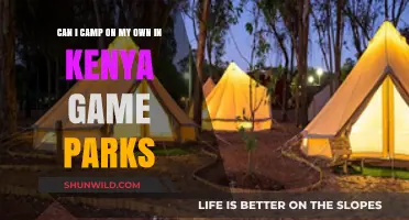 Solo Camping in Kenya's Game Parks: Is It Safe and Allowed?
