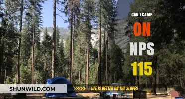 Camping on NPS 115: Rules, Tips, and What You Need to Know