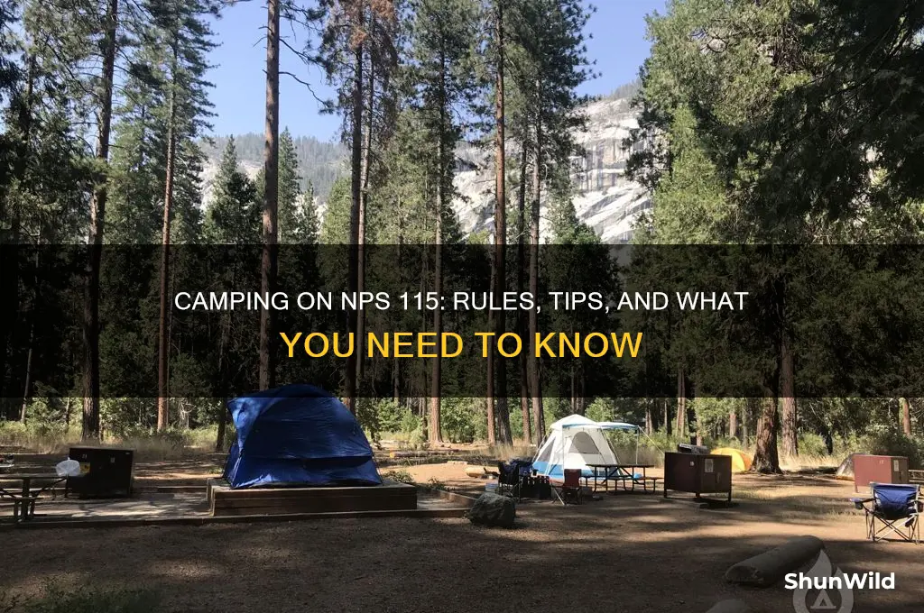 can i camp on nps 115