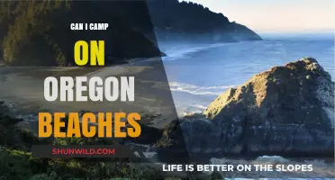 Camping on Oregon Beaches: Rules, Tips, and Best Spots