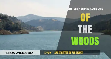 Camping on Pine Island Lake of the Woods: What You Need to Know