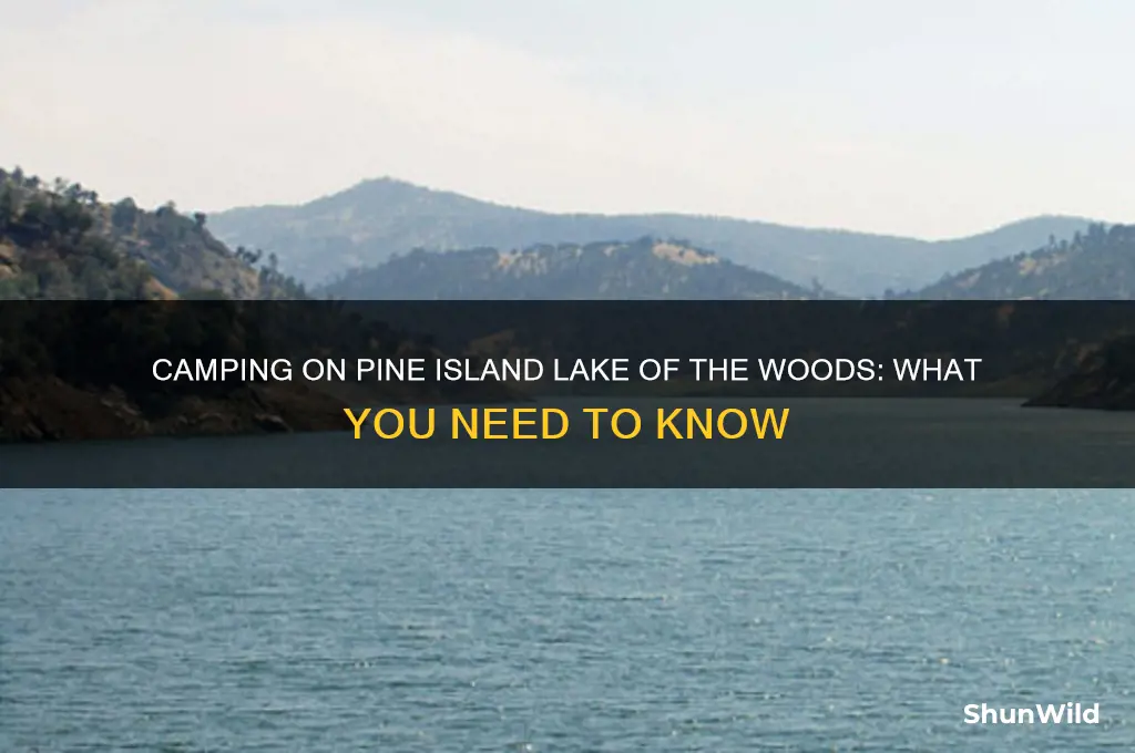 can i camp on pine island lake of the woods