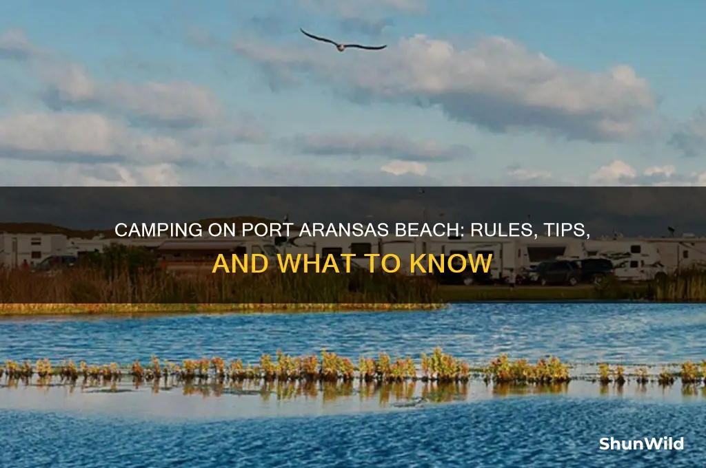 can i camp on port aransas beach