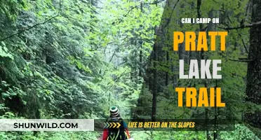 Camping on Pratt Lake Trail: Rules, Tips, and What to Expect