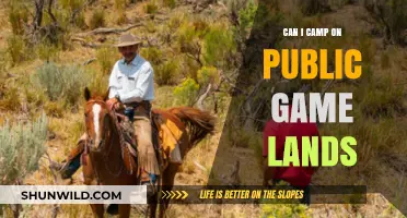 Camping on Public Game Lands: Rules, Tips, and What You Need to Know