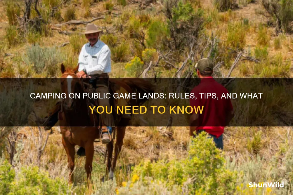 can i camp on public game lands