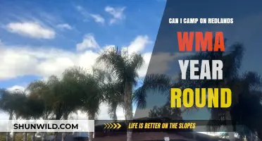 Year-Round Camping at Redlands WMA: Rules, Tips, and Best Practices