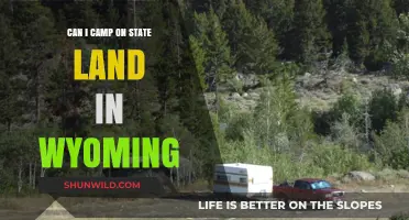 Camping on Wyoming State Land: Rules, Tips, and Best Practices