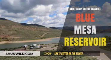 Beach Camping at Blue Mesa Reservoir: Rules, Tips, and Best Spots