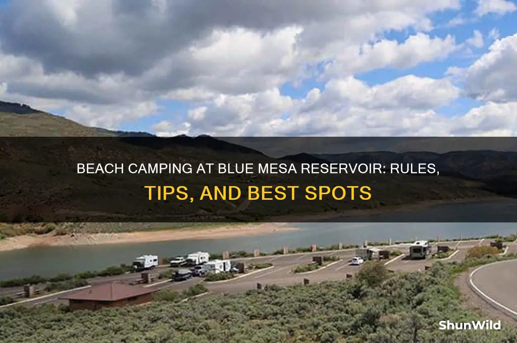 can i camp on the beach at blue mesa reservoir