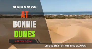 Camping at Bonnie Dunes Beach: Rules, Tips, and What to Expect