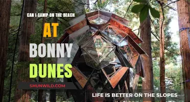 Camping at Bonny Dunes Beach: Rules, Tips, and What to Know