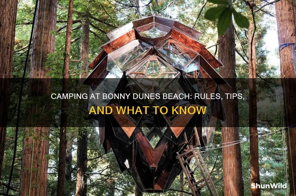 can i camp on the beach at bonny dunes