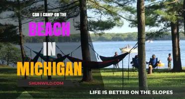 Beach Camping in Michigan: Rules, Best Spots, and Tips for 2023