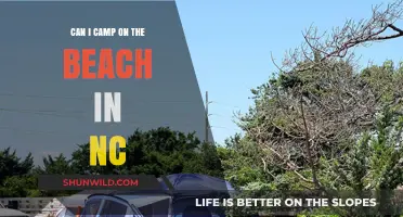 Beach Camping in NC: Rules, Best Spots, and Tips for a Perfect Trip