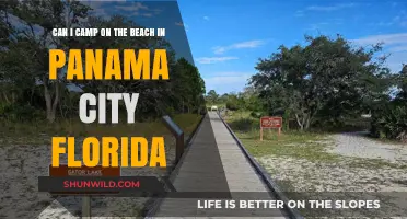Beach Camping in Panama City, Florida: Rules, Tips, and Best Spots