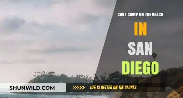 Beach Camping in San Diego: Rules, Spots, and Tips for Overnight Stays
