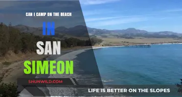 Beach Camping in San Simeon: Rules, Tips, and Best Spots