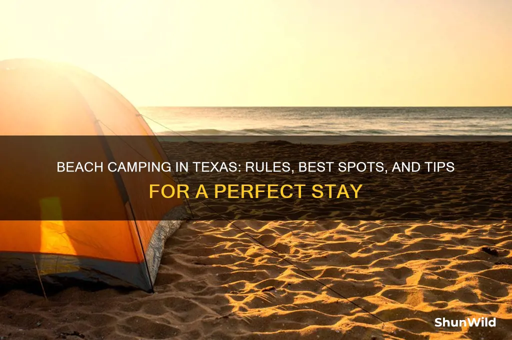 can i camp on the beach in texas