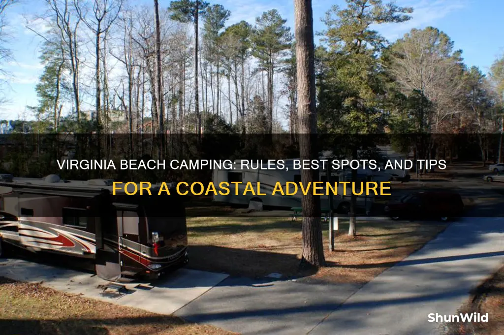 can i camp on the beach in virginia