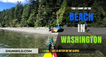 Beach Camping in Washington: Rules, Best Spots, and Tips for a Perfect Trip