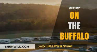 Camping on the Buffalo: Rules, Tips, and Safety Guide