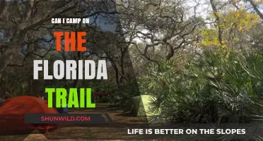 Camping on the Florida Trail: Rules, Tips, and Best Spots