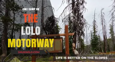 Exploring the Lolo Motorway: Camping Rules and Adventure Tips