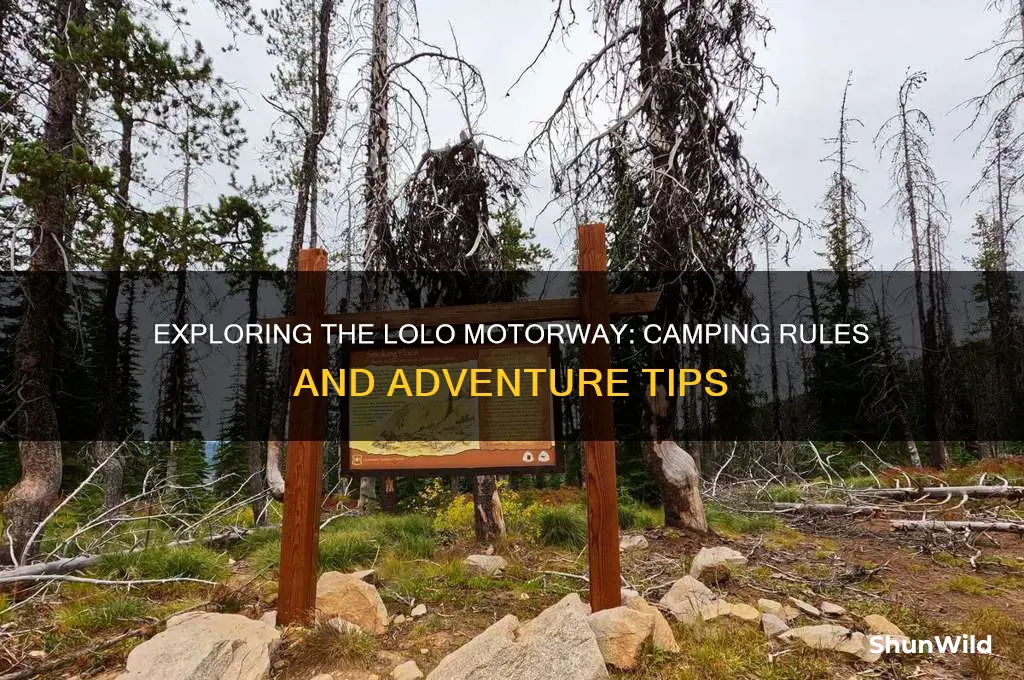 can i camp on the lolo motorway