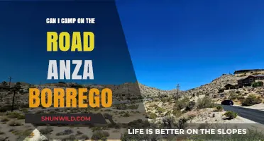 Camping on Anza-Borrego Roads: Legal Tips and Best Practices