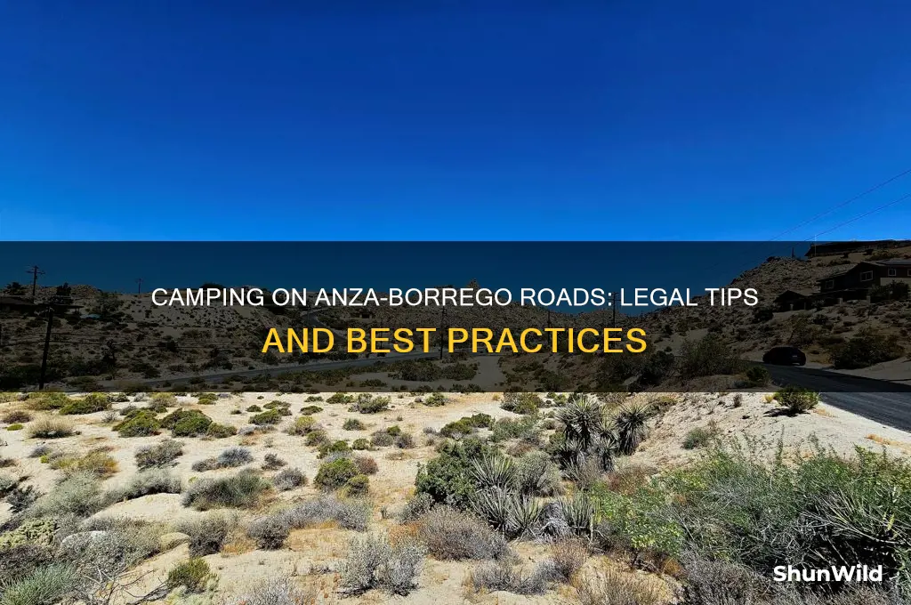 can i camp on the road anza borrego