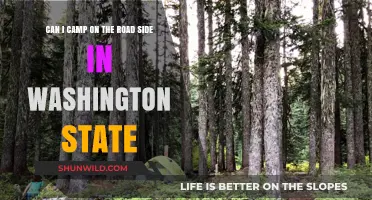 Camping on Washington State Road Sides: Legalities and Best Practices