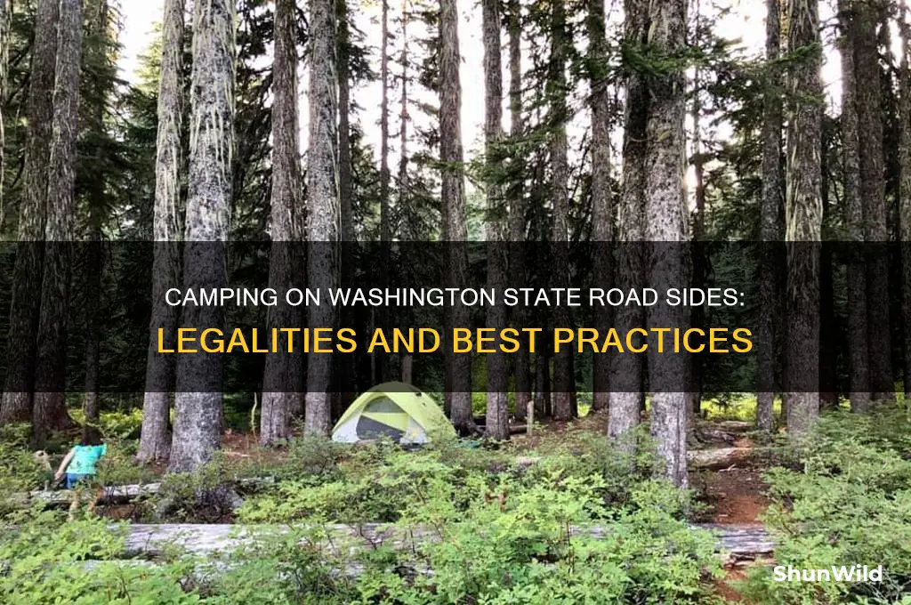 can i camp on the road side in washington state