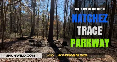 Camping Along Natchez Trace Parkway: Rules, Tips, and Best Spots