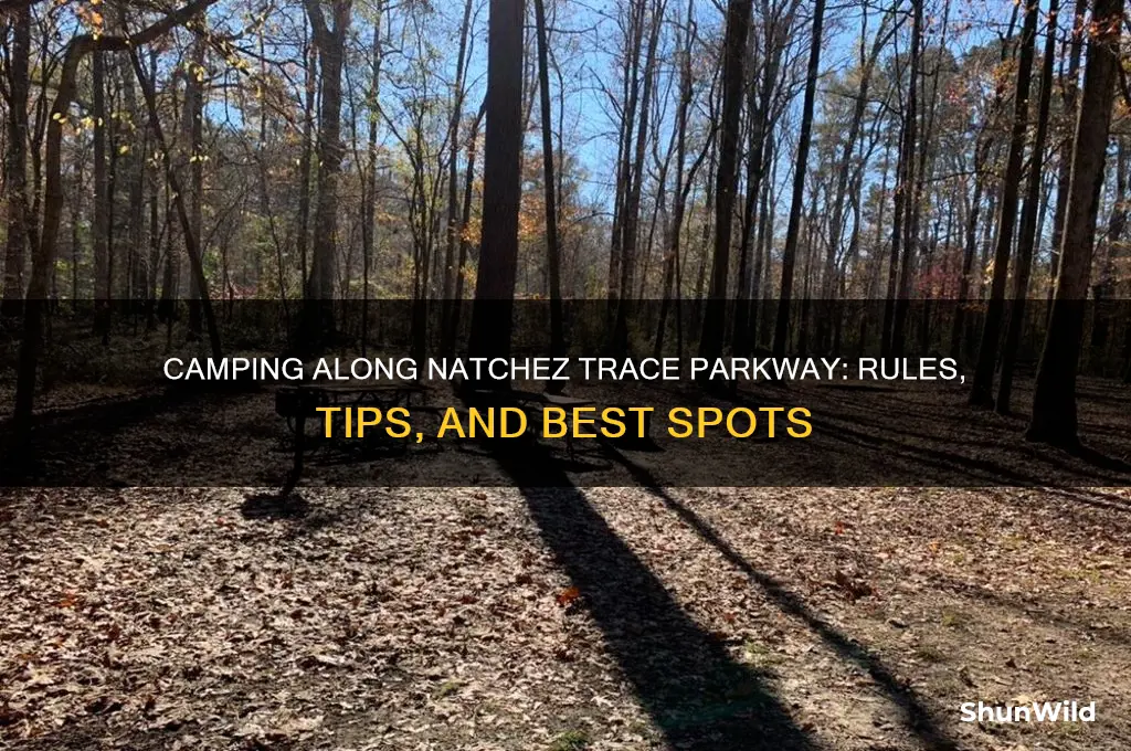 can i camp on the side of natchez trace parkway