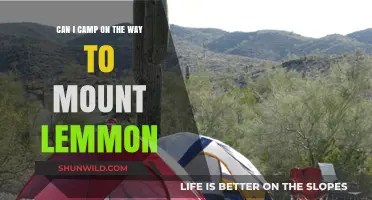 Camping on the Journey to Mount Lemmon: Tips and Best Spots