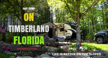 Camping on Timberland, Florida: Rules, Tips, and What You Need to Know